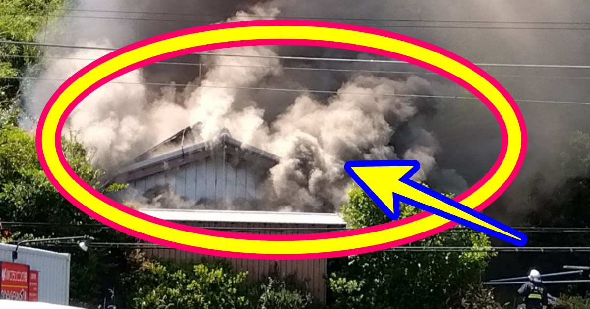 【和歌山県東牟婁郡串本町・火事】現場の場所・状況を動画像で!沿線火災2023/6/16 芸能デラックス 【和歌山県東牟婁郡串本町・火事】現場の場所・状況を動画像で!沿線火災2023/6/16 芸能デラックス